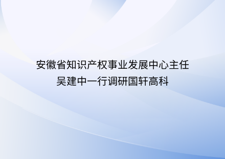 安徽省知识产权事业发展中心主任吴建中一行调研国轩高科